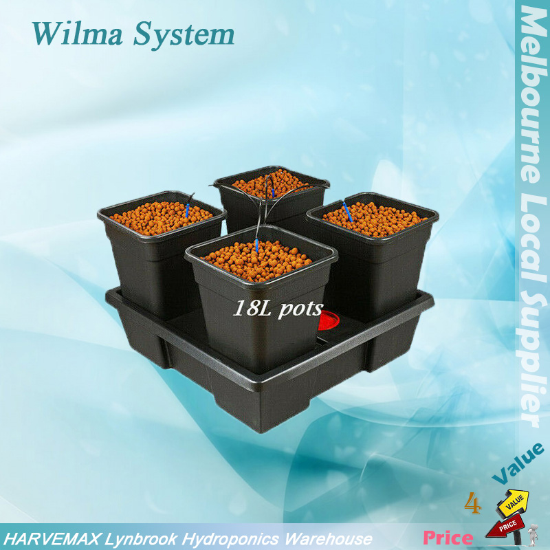  wilma system 