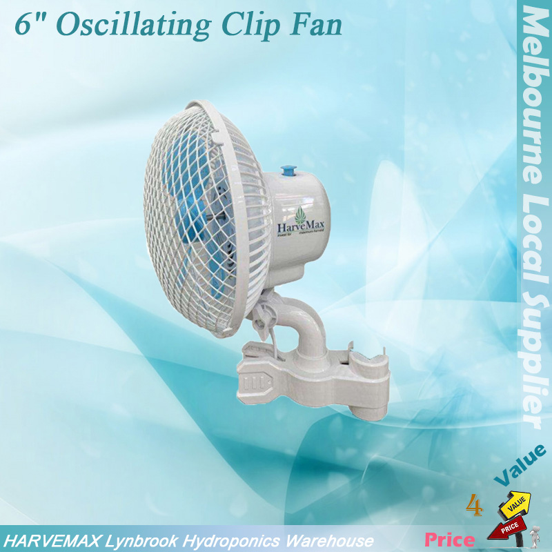 6'' fan